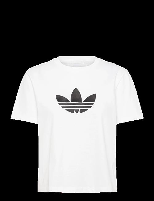adidas Originals | Trefoil Boxy T | L