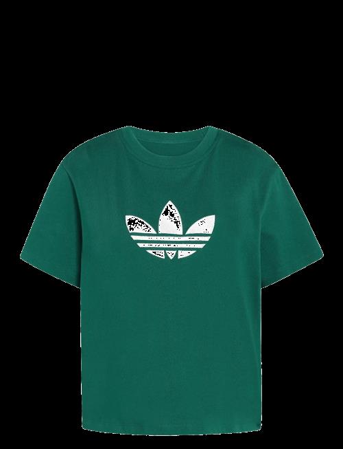 adidas Originals | Trefoil Boxy T | S