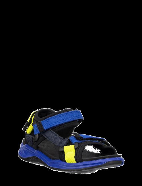 ECCO | X-Trinsic K | 31