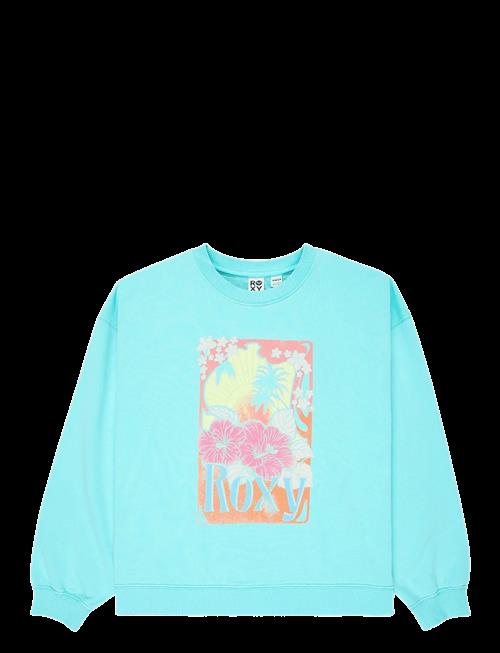Roxy | Lineup Crew Rg Terry | 176