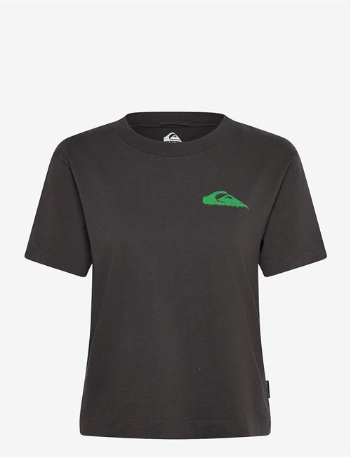 Quiksilver | Standard Ss Tee | S