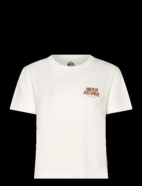 Quiksilver | Standard Ss Tee | XS