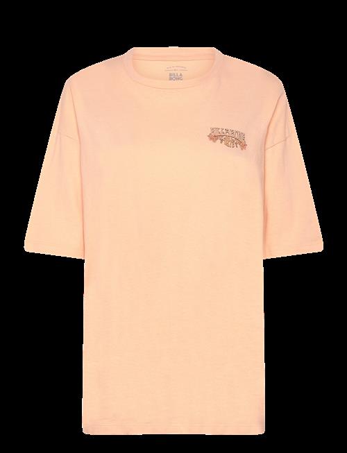 Billabong | Waterfall | L