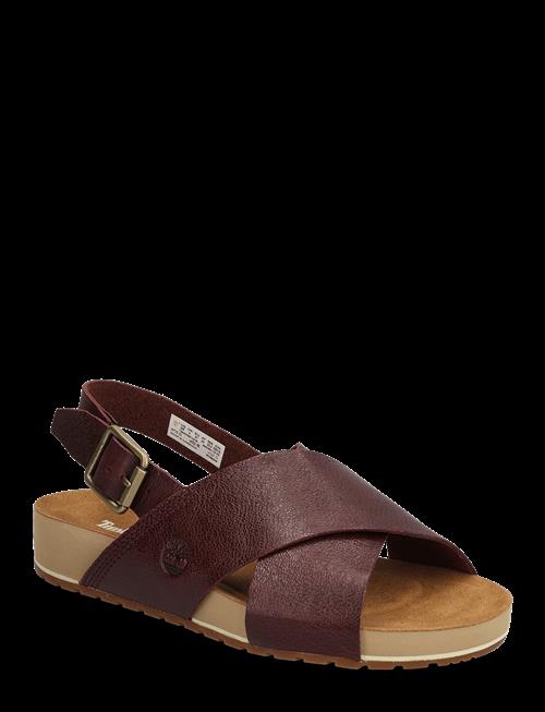 Timberland | Malibu Waves Basic Backstrap Sandal Burgundy Full Grain | 38