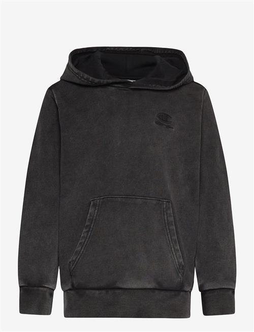 Champion | Hooded Sweatshirt | 116