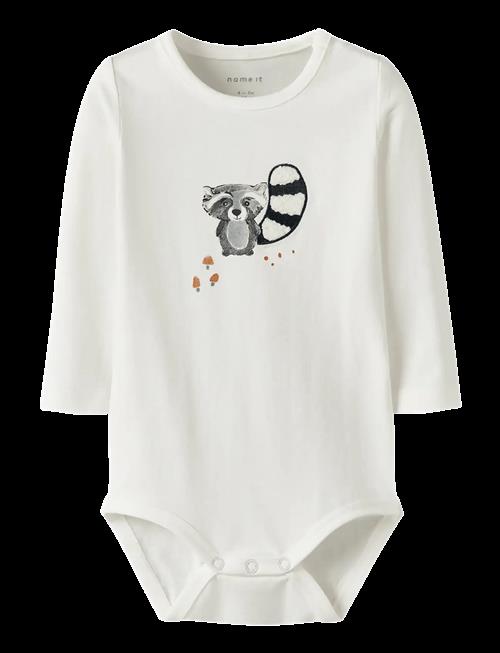 name it | Nbmolen Ls Body Box | 62