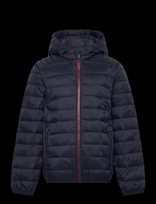 Jack & Jones | Jjebradley Light Puffer Hood Mni | 104