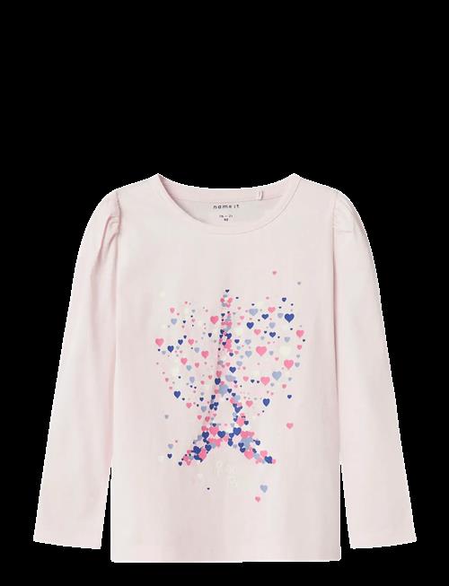 name it | Nmfollia Ls Top Pb | 92