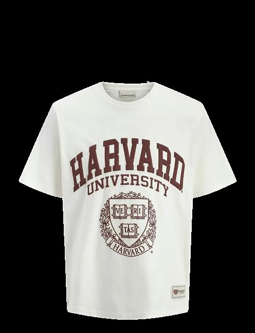 Jack & Jones | Jorharvard Tee Ss C.n Styd Ss25 | S