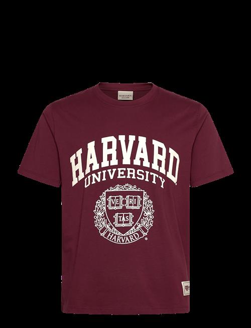 Jack & Jones | Jorharvard Tee Ss C.n Styd Ss25 | M