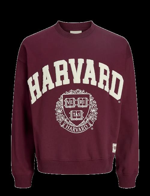 Jack & Jones | Jorharvard Sweat C.n Styd Ss25 | M
