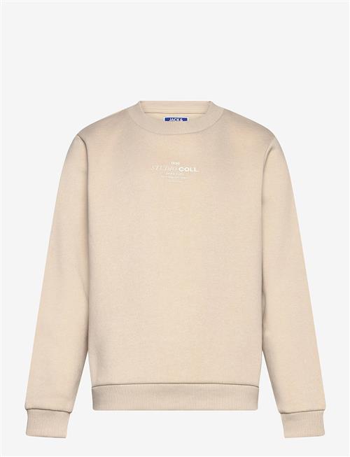 Jack & Jones | Jjjin Sweat Crew Neck Mni | 110