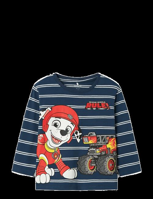 name it | Nmmsofus Paw Ls Nreg Top Box Cplg | 92