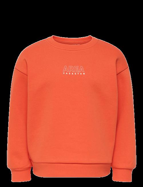Kids Only | Kmgzenja Life L/S Boxy Pullover Bru Swt | 116