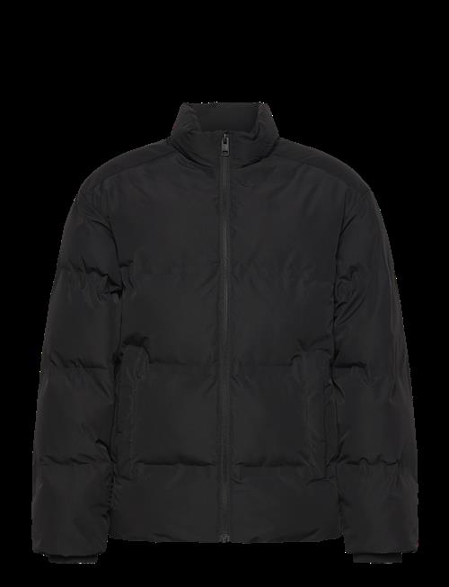 Jack & Jones | Jjesoho Puffer Collar Jnr | 164