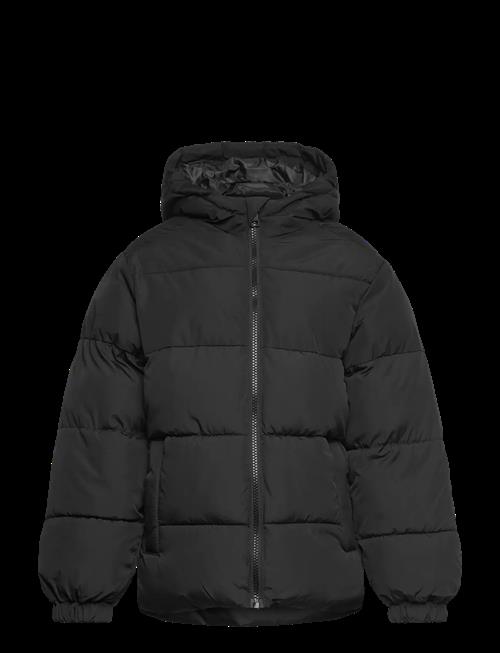 Jack & Jones | Jjmaze Puffer Hood Jnr | 152