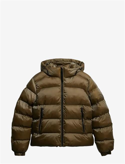 Superdry | Hooded Luxe Sports Puffer | L