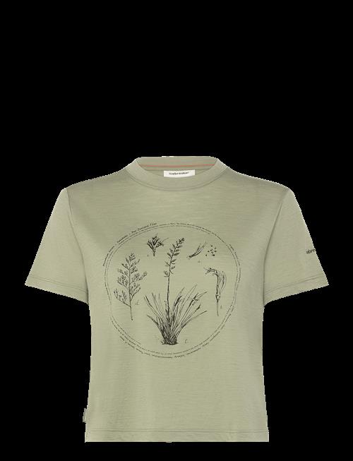 Icebreaker | W Mer 150 Tech Lite Ss Crop T Seed Stor | L