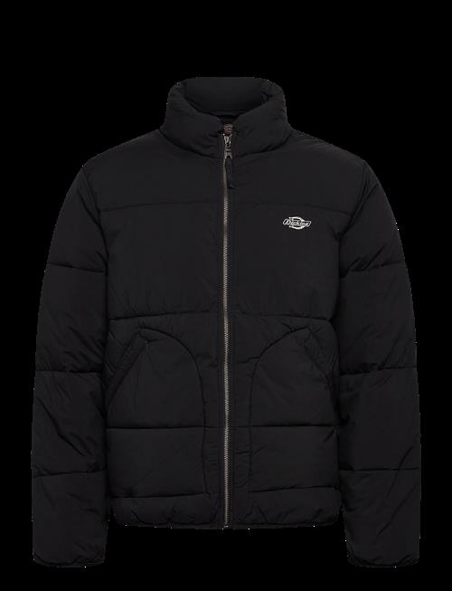 Dickies | M Summerdale Puffer | XXL
