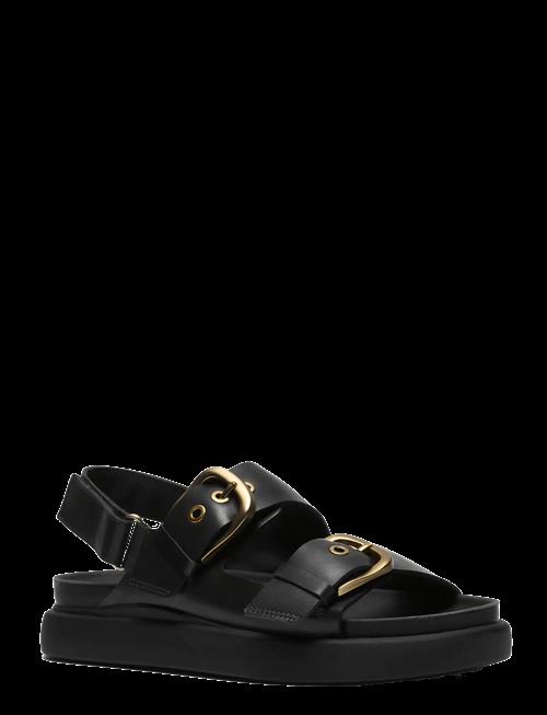 Clarks | Aristella Bay D | 37.5