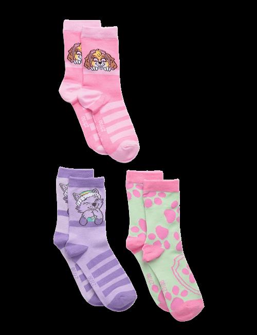 Paw Patrol | Socks | 31/34