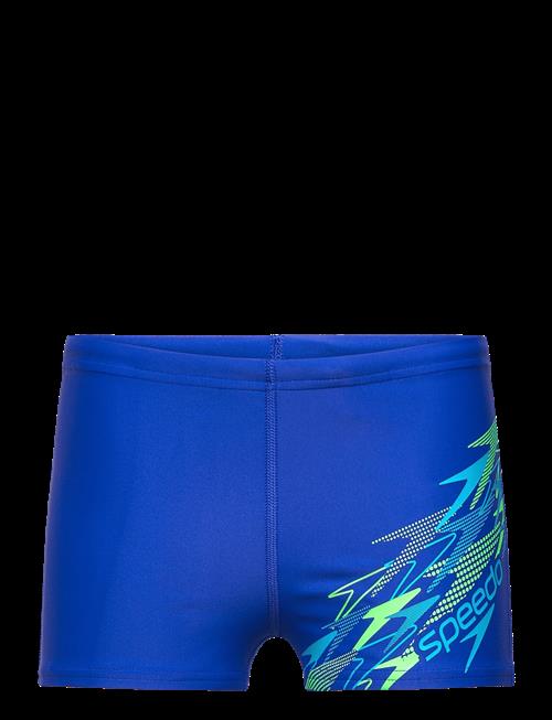 Speedo | Medley Logo Aquashort | 176