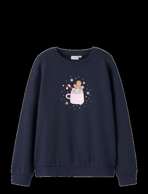 name it | Nkfvismas Ls Nreg Sweat Bru | 116