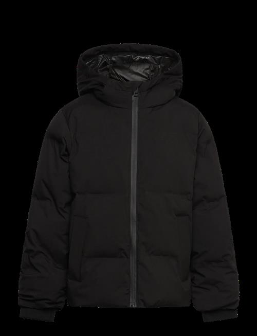 Jack & Jones | Jjkaito Puffer Jacket Mni | 110