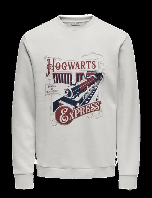 ONLY & SONS | Onsxmas Reg Crew Hp | S