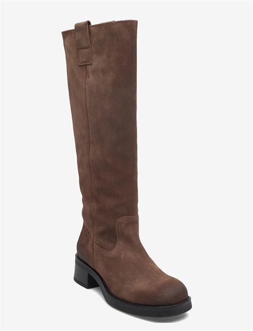 Steve Madden | Banner | 36