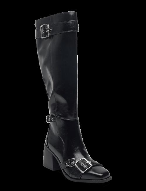 Steve Madden | Z-Town | 37