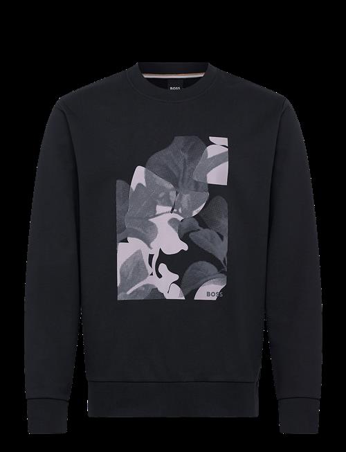 BOSS | C-Soleri 239 | M