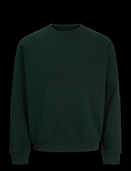 Jack & Jones | Jjebradley Sweat Crew Noos | XXL