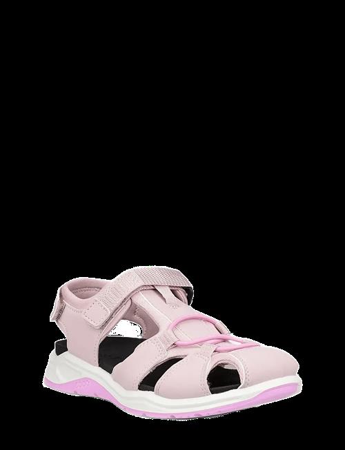 ECCO | X-Trinsic K | 25