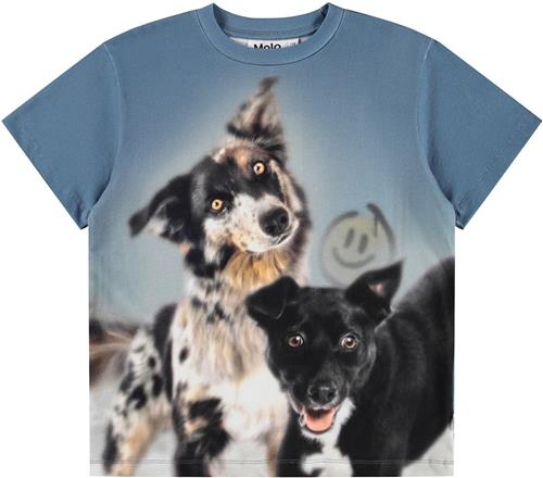 Molo Riley T-Shirts Short Sleeves Doggy Duo Doggy Duo 140 cm  Blå  140 cm  Drenge