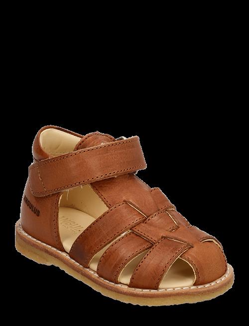 ANGULUS | Sandals - Flat - Closed Toe - | 25