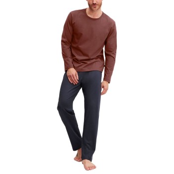 Calida Relax Essentials Pyjama Blå/Brun bomuld Small Herre
