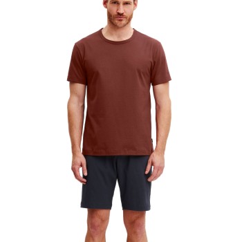 Calida Relax Essentials Short Pyjamas Blå/Brun bomuld XX-Large Herre