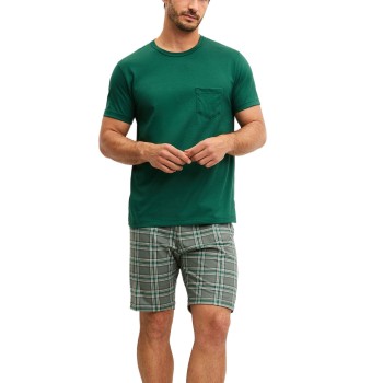 Calida Relax Imprint O Neck Short Pyjama Grøn/Rudet bomuld Medium Herre