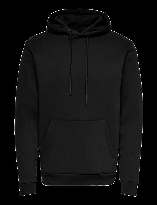 ONLY & SONS | Onsceres Hoodie Sweat Noos | XL