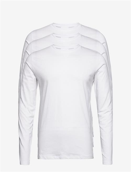 Lindbergh | 3-Pack Basic Tee L/S | L