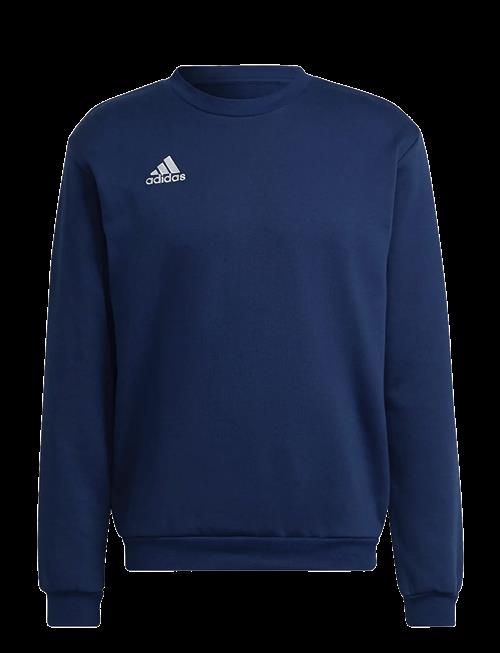 adidas Performance | Ent22 Sw Top | S