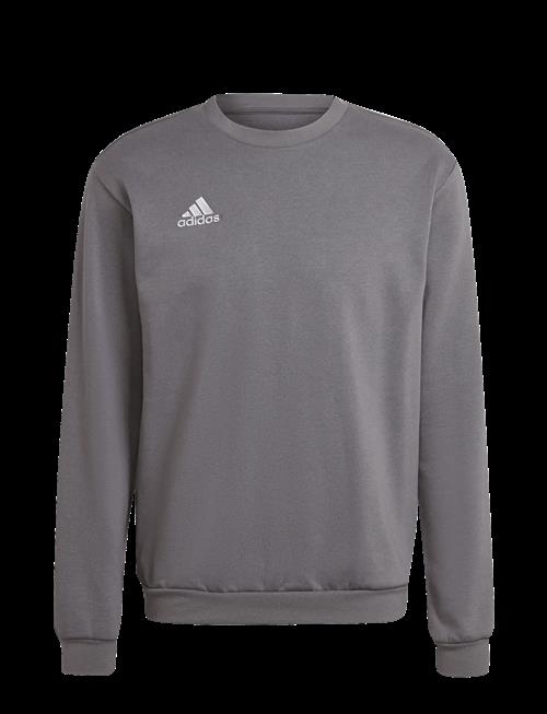 adidas Performance | Ent22 Sw Top | XS