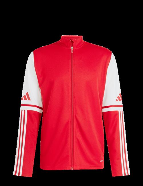 adidas Performance | Sq25 Tr Jkt | L