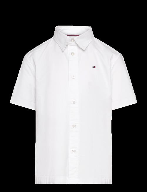 Tommy Hilfiger | Oxford Shirt | 152