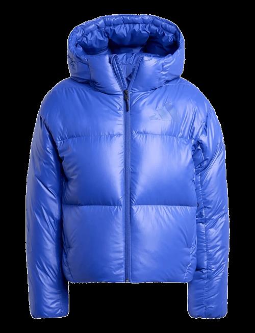 adidas Sportswear | W Z.n.e. Puffer | XL