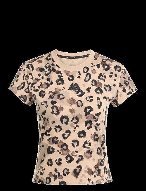 adidas Sportswear | W Aop Tee | S