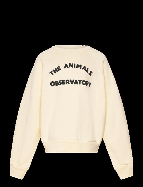 THE ANIMALS OBSERVATORY | Shark Kid Sweatshirt White Logo | 4 Y