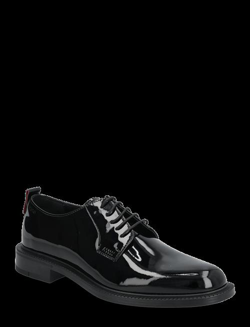 HUGO | Lysander_Derb_Ptlt | 46