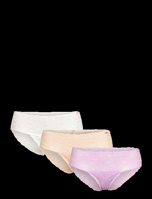 Dorina | Lana/Eco-3Pp Brief | XL